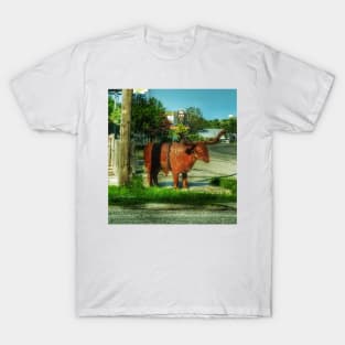 Country Meets City T-Shirt